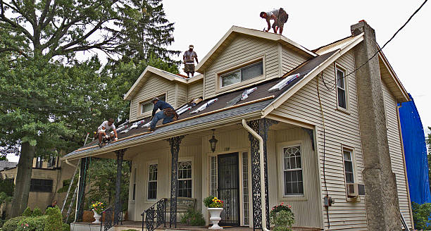 Best Metal Roofing Contractor  in Untain Grove, MO